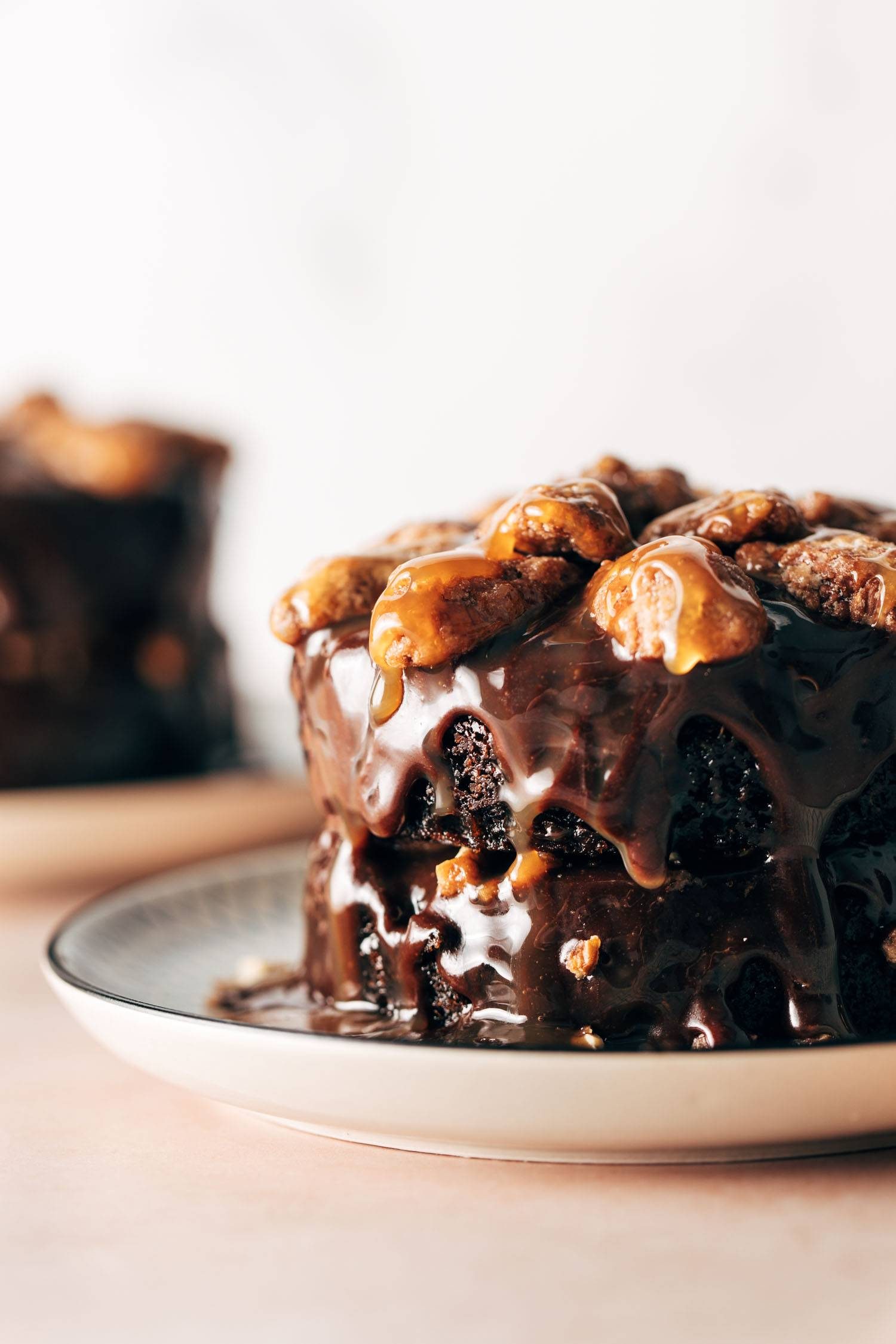 Turtle cake on a plate